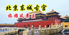 大鸡巴操嫩穴的黄色电影中国北京-东城古宫旅游风景区